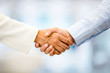 Business people handshaking