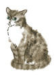 Sitting cat