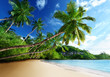 sunset on beach, Mahe island, seychelles