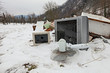 electronic waste