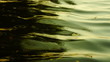 leaves floating on the waves