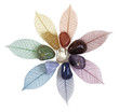 Chakra crystals on leaves