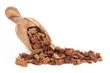 Oak Bark Herb