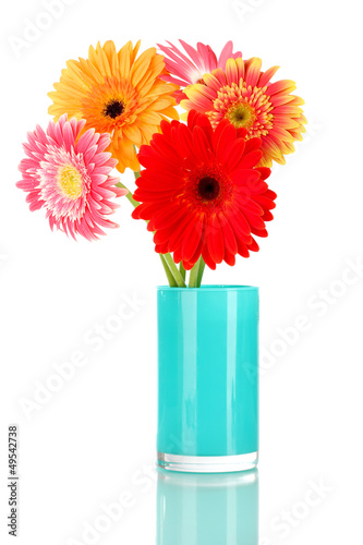 Photo: Beautiful Gerber flowers isolated on white Beautiful Gerber flowers isolated on white