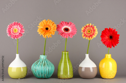 Photo: Beautiful Gerber flowers on grey background Beautiful Gerber flowers on grey background