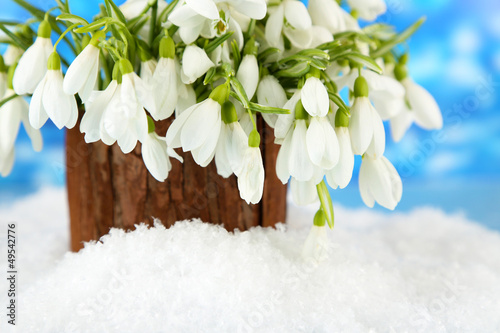 Photo: Bouquet of snowdrop flowers in vase with snow, Bouquet of snowdrop flowers in vase with snow,