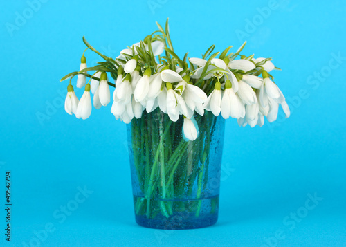 Photo: Bouquet of snowdrop flowers in glass vase, on color background Bouquet of snowdrop flowers in glass vase, on color background