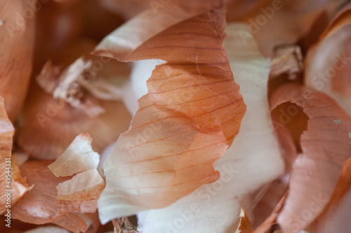 Photo: Onion Peels Onion Peels