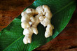 Photo: ginger ginger