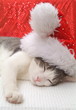Weihnachtsmann