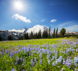 Mt.Rainier