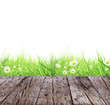 Spring meadow concept with wooden planks and white background