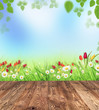 Foto: Spring meadow with wooden planks Spring meadow with wooden planks