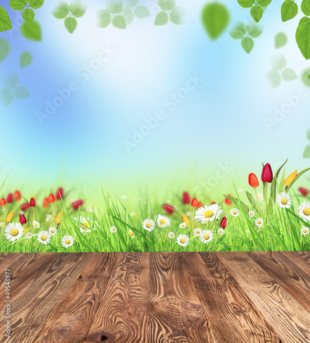 Photo: Spring meadow with wooden planks Spring meadow with wooden planks