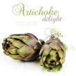 Frsh purple artichoke bundle on white background