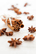 Anise and cinnamon sticks on homemade canvas close up
