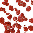 blood cells - 3D Render