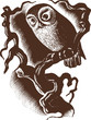 Owl in the dark