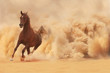 Photo: Arabian horse running out of the Desert Storm Arabian horse running out of the Desert Storm