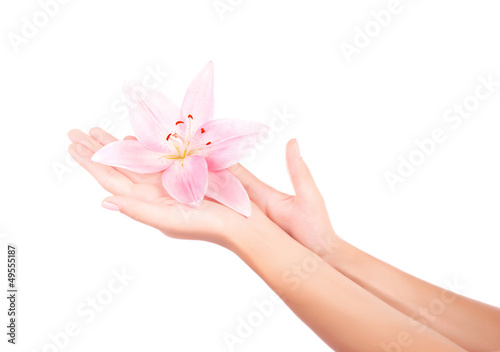 Photo: Women's arm holding pink lily flower Women's arm holding pink lily flower