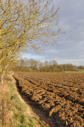 Photo: terre agricole terre agricole