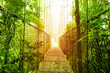 Foto: Arenal Hanging Bridges park of Costa Rica Arenal Hanging Bridges park of Costa Rica