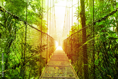 Photo: Arenal Hanging Bridges park of Costa Rica Arenal Hanging Bridges park of Costa Rica