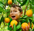 Kind mit Orange