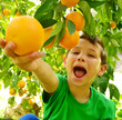Kind mit Orange