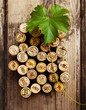 Dated wine bottle corks on the wooden background