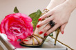 Vintage foot, hand and rose