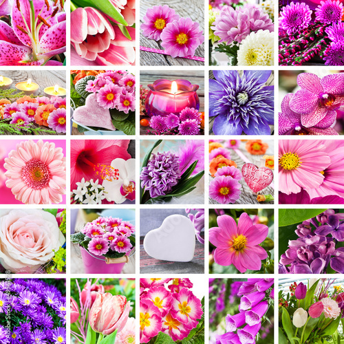 Photo: Garten - Blumen und Dekoration Garten - Blumen und Dekoration