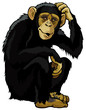 chimpanzee
