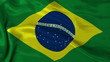 Vidéo : Brazilan flag: the flag of Brazil waving Brazilan flag: the flag of Brazil waving