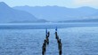 Boats and waves on a lake