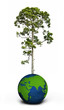 safe the earth