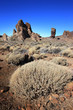 Ténérife - El Teide (Los Roques de Garcia)