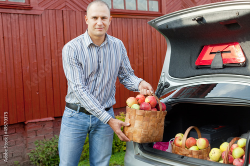 Photo: Guy puts apples in the trunk of car Guy puts apples in the trunk of car