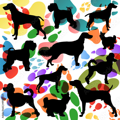 Vector: Dogs and dog footprints silhouettes colorful illustration collec Dogs and dog footprints silhouettes colorful illustration collec