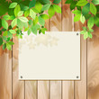 Vector: Green leaves on a wood texture. Vector background Green leaves on a wood texture. Vector background