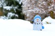 canvas print picture - schneemann