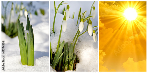 Photo: Der Frühling kommt Der Frühling kommt