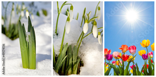 Photo: Der Frühling kommt Der Frühling kommt