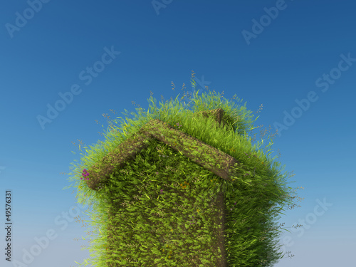 Illustration: eco house eco house
