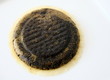 dosette de café,marre pour compost