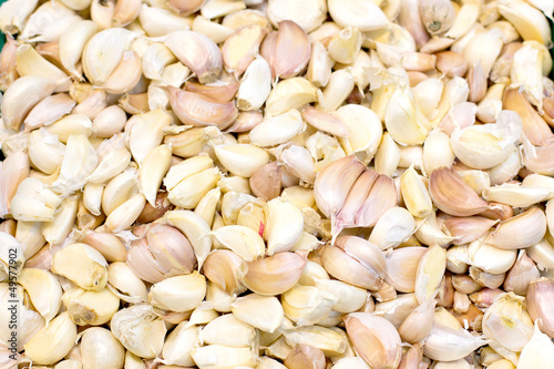 Photo: garlic garlic