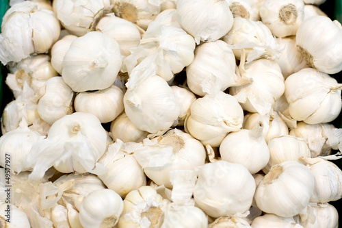 Photo: garlic garlic