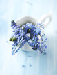 Bunch Of Grape Hyacinths In A ...