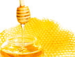 bee honeycomb and honey