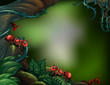 Ants at the rain forest